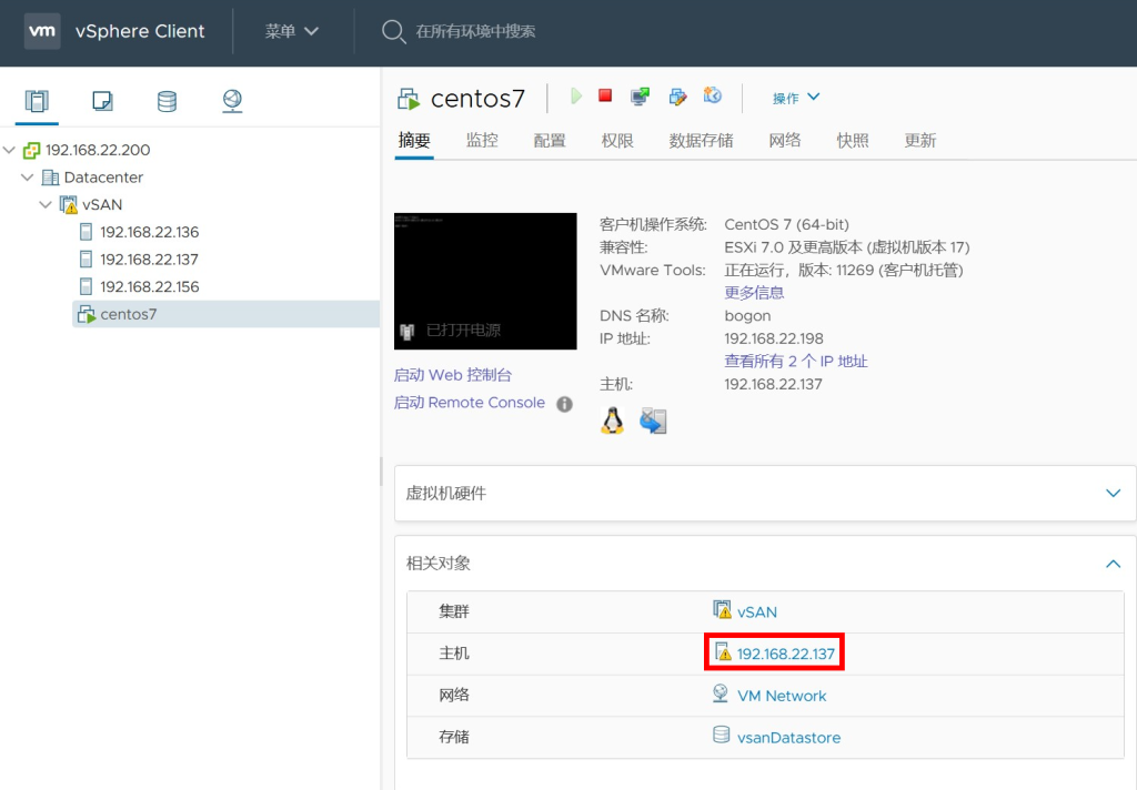vSAN 集群存储配置
