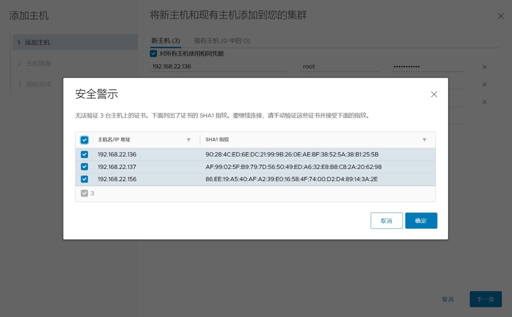 vSAN 集群存储配置