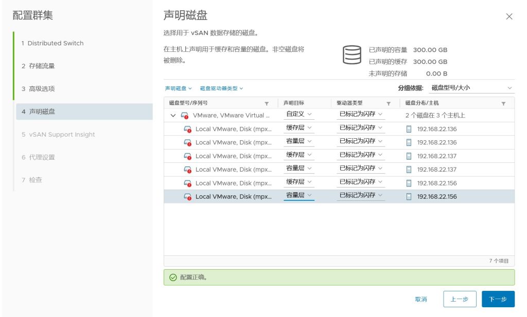 vSAN 集群存储配置