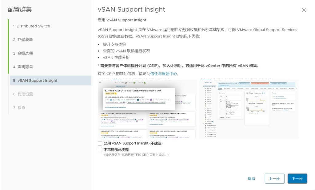 vSAN 集群存储配置