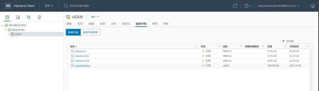 vSAN 集群存储配置