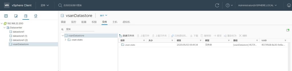 vSAN 集群存储配置