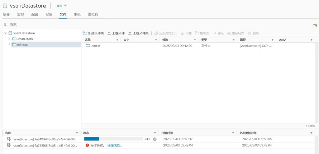 vSAN 集群存储配置
