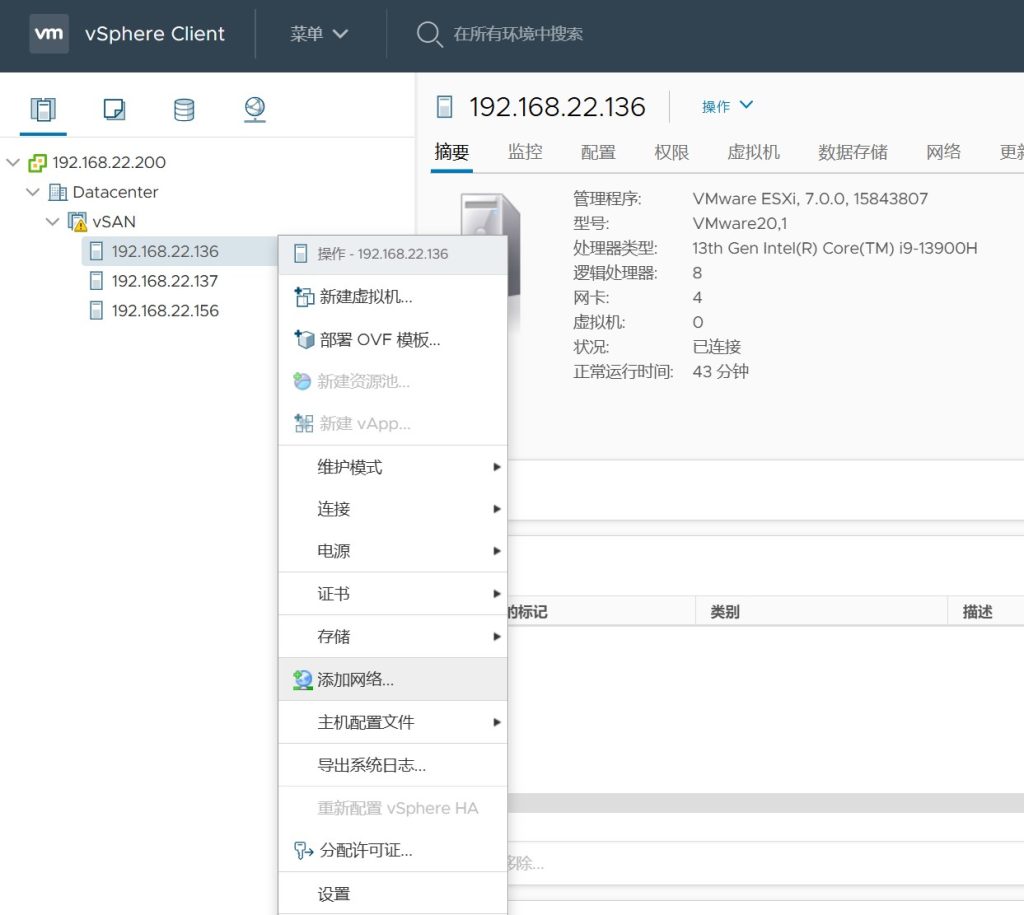 vSAN 集群存储配置