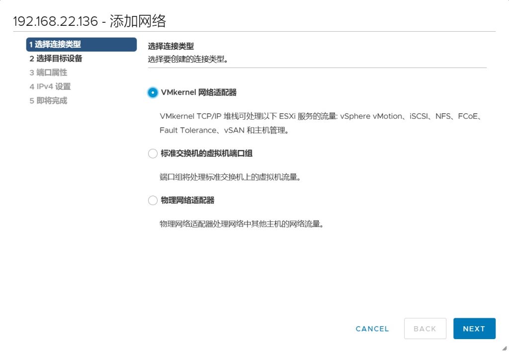 vSAN 集群存储配置