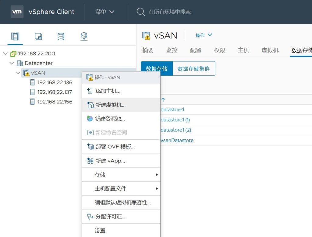vSAN 集群存储配置