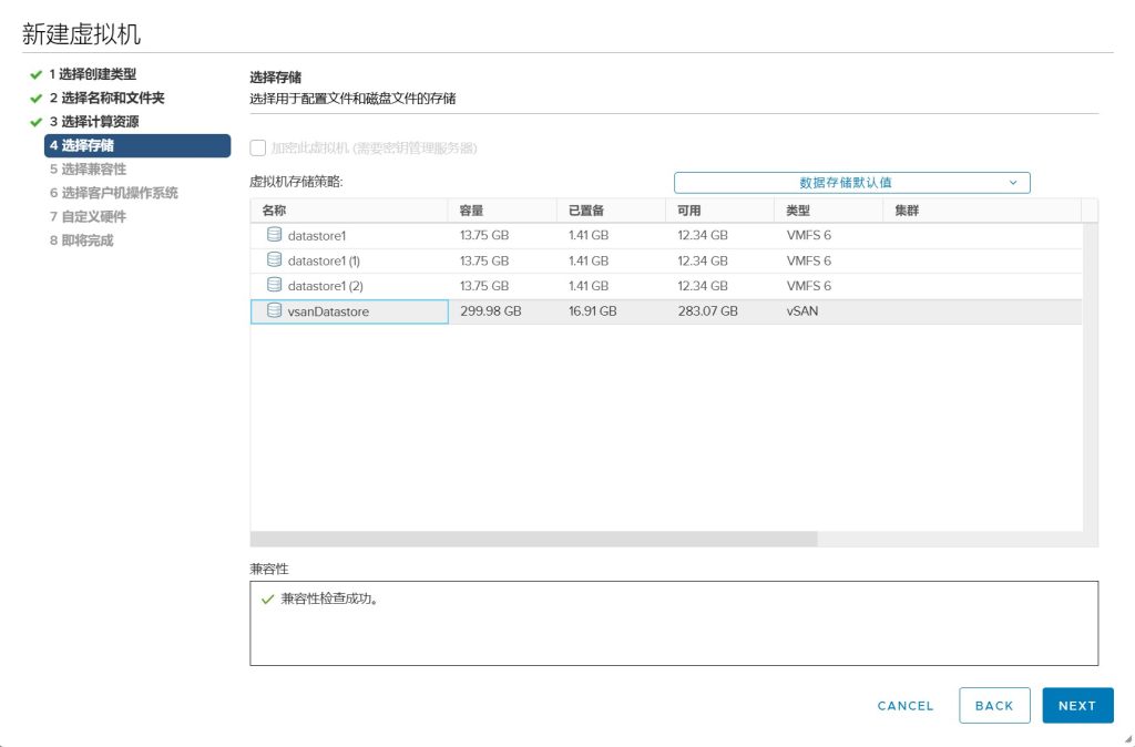 vSAN 集群存储配置