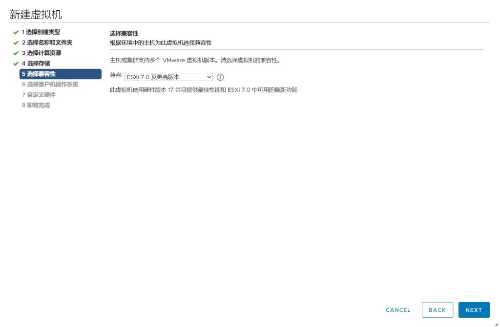 vSAN 集群存储配置