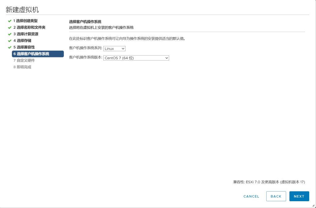 vSAN 集群存储配置