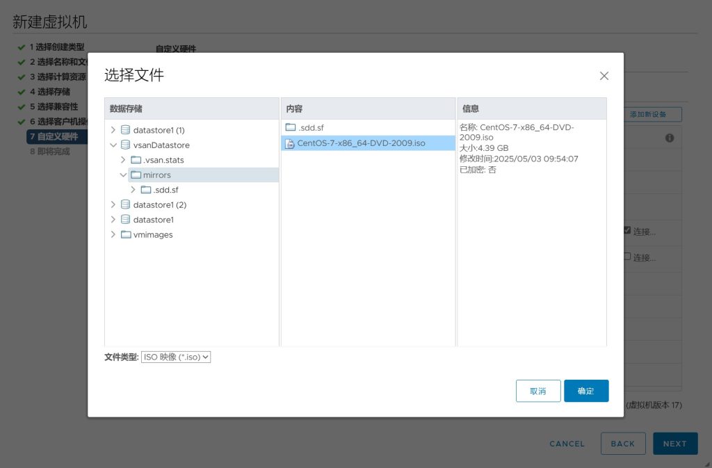 vSAN 集群存储配置