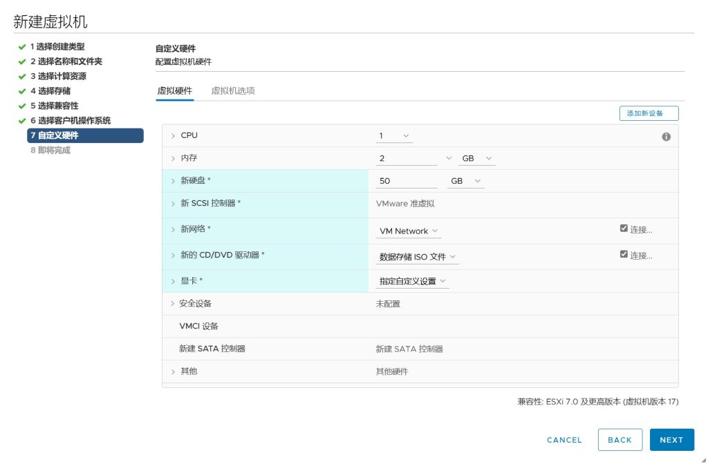 vSAN 集群存储配置