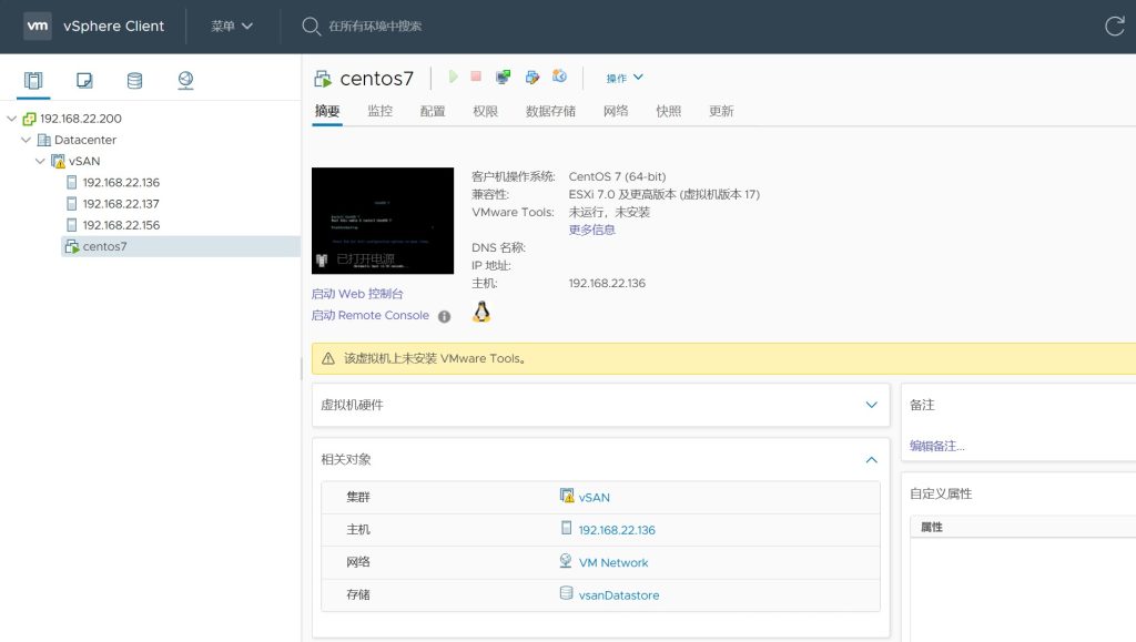 vSAN 集群存储配置
