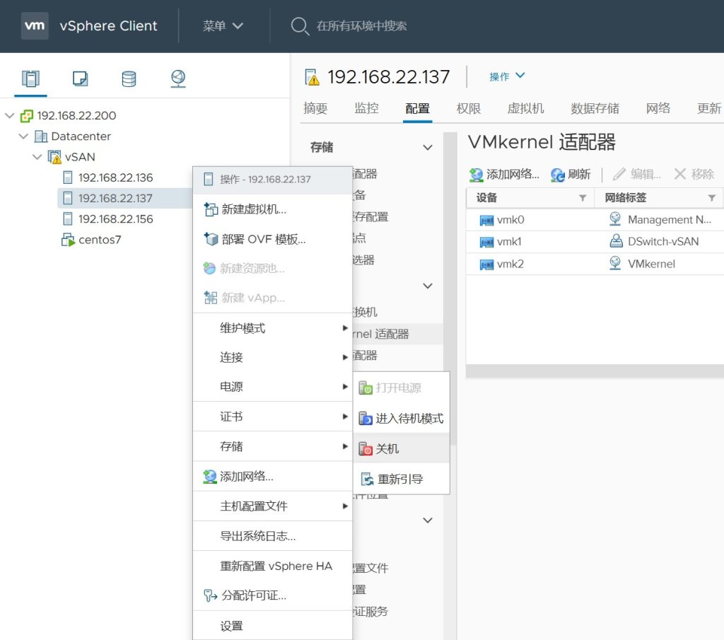 vSAN 集群存储配置