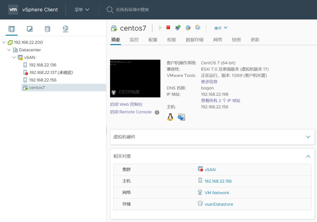 vSAN 集群存储配置