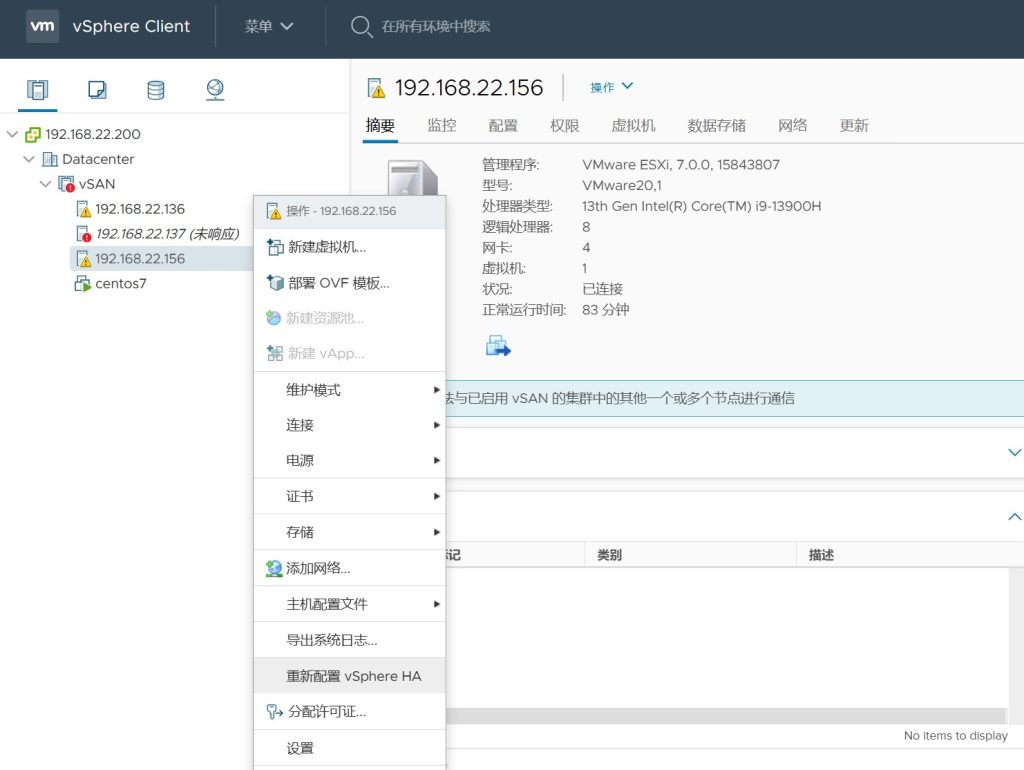 vSAN 集群存储配置
