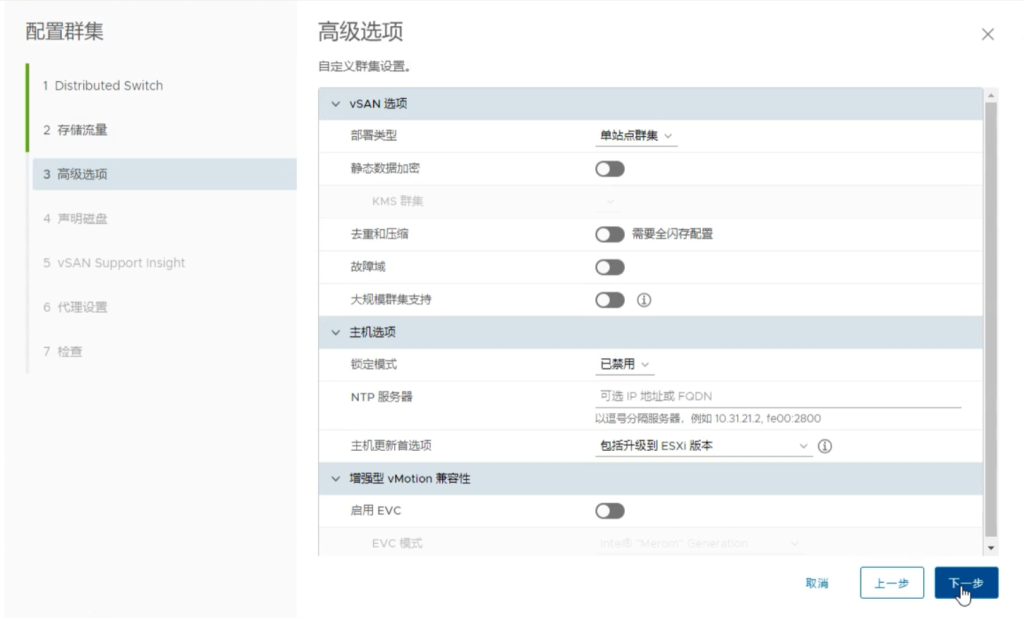 vSAN 集群存储配置